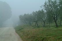 agriturismo spoleto